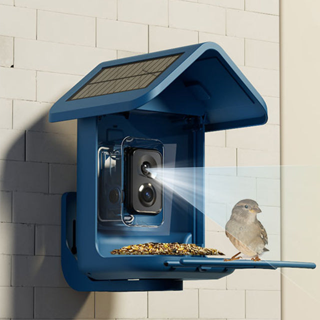 Choosing The Perfect Bird Feeder With Camera:capturing The Charm Of No 