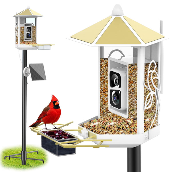 Gold Metal Bird Feeder Camera with 74.5 Inch Bird Feeder Pole